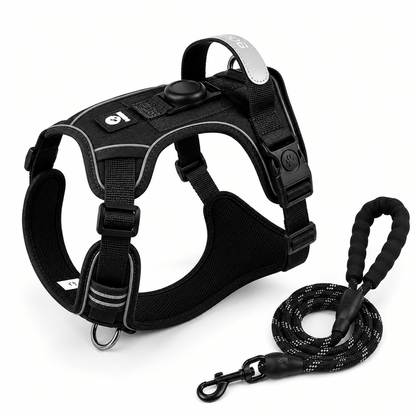 Pet Halo Harness & Leash