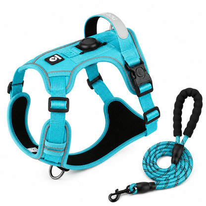 Pet Halo Harness & Leash