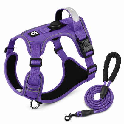Pet Halo Harness & Leash