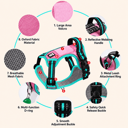 Pet Halo Harness & Leash