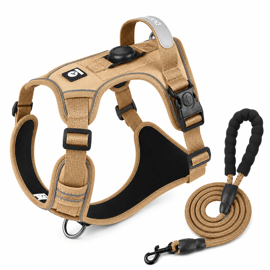 Pet Halo Harness & Leash